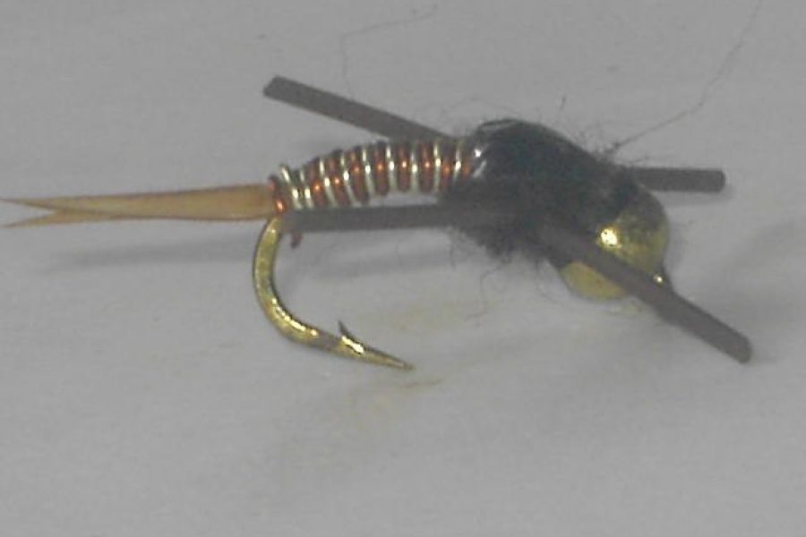 Bead Head Rubber Leg Copper Nymph