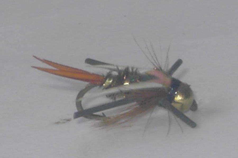 Beadhead Rubber Leg Prince Nymph