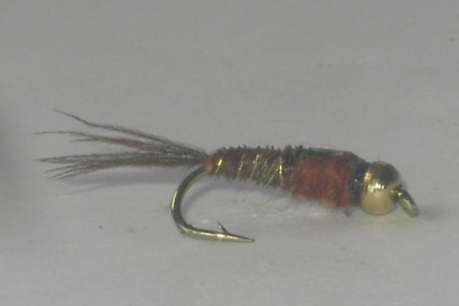 brown beadhead stone nymph