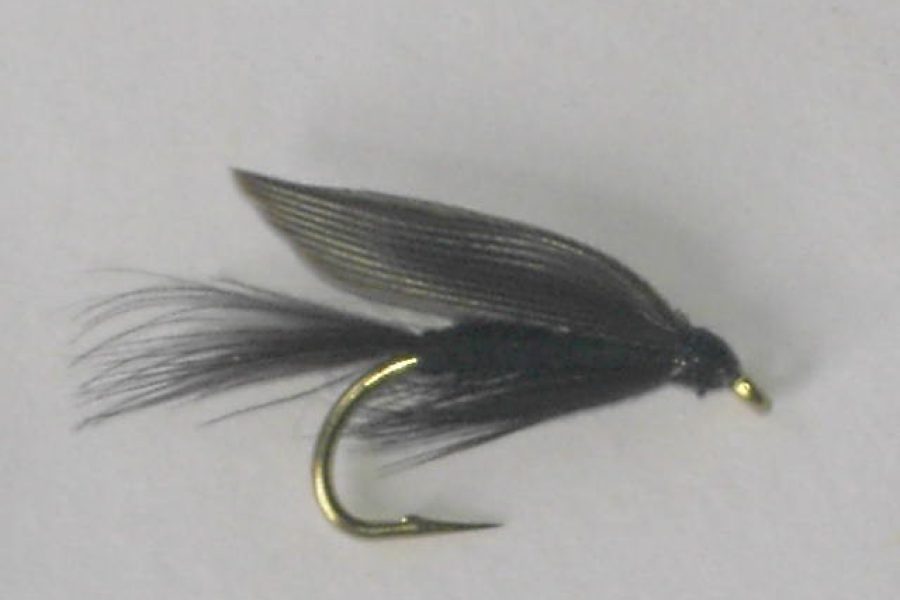 Black gnat wet fly