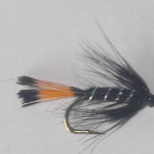 Black pennell wet fly