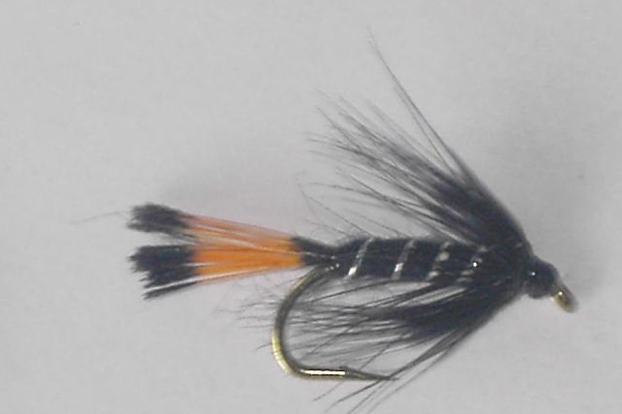 Black pennell wet fly