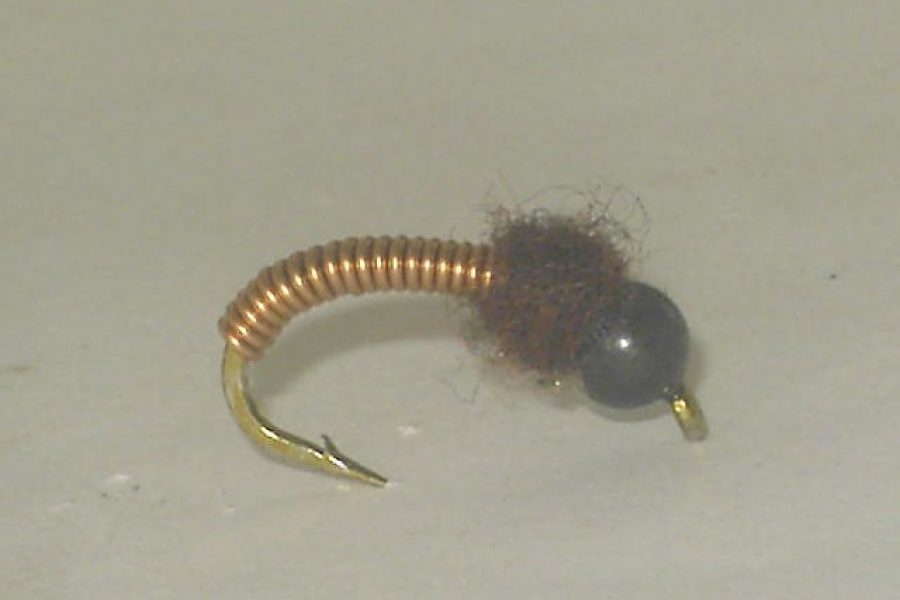 Black bh copper nymph