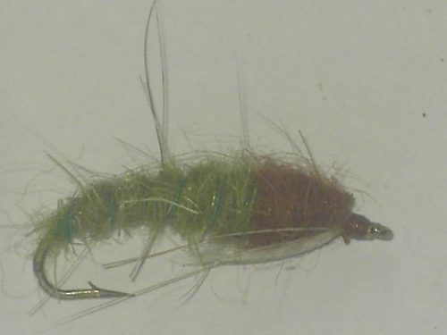 Caddis larva brown olive fly