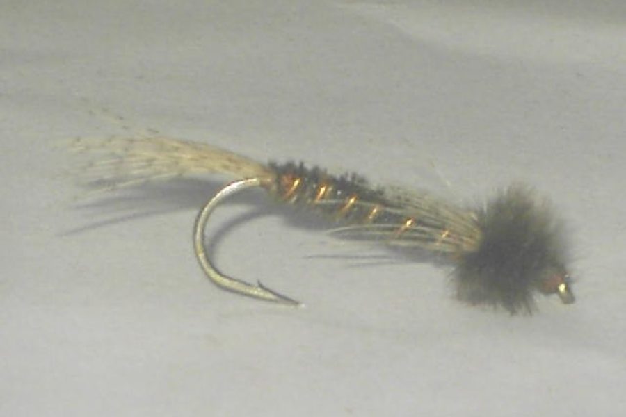 Callabaetis nymph fly