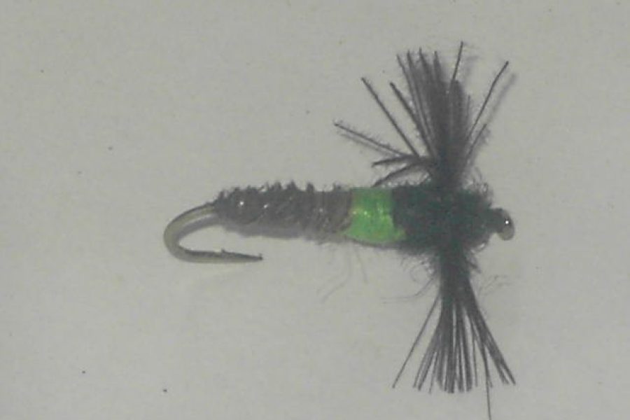 Cassed Caddis nymph