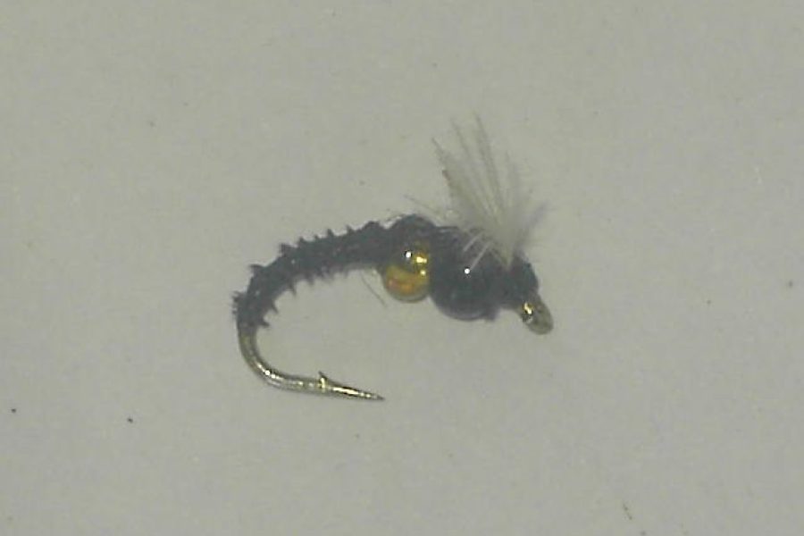 Cassed caddis scud