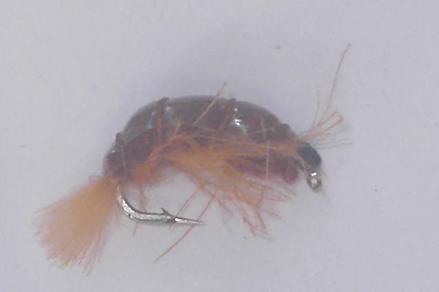 brown CDC Scud fishing fly