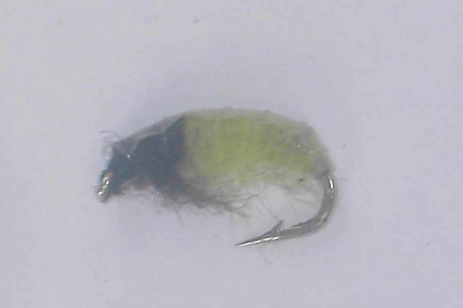 Czech nymph 5