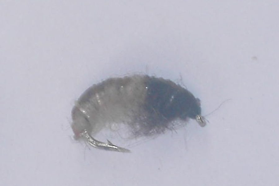 Czech nymph 3