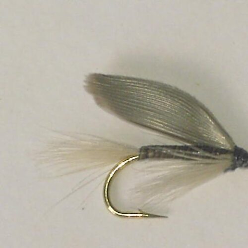 Blue quill wet fly