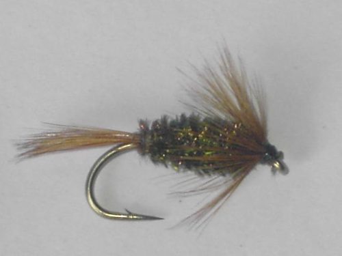 Brown Hackle & Peacock wet fly