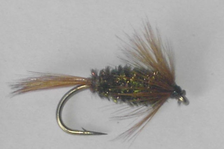 Brown Hackle & Peacock wet fly