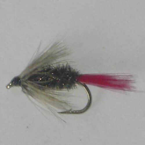 Red hackle peacock wet fly