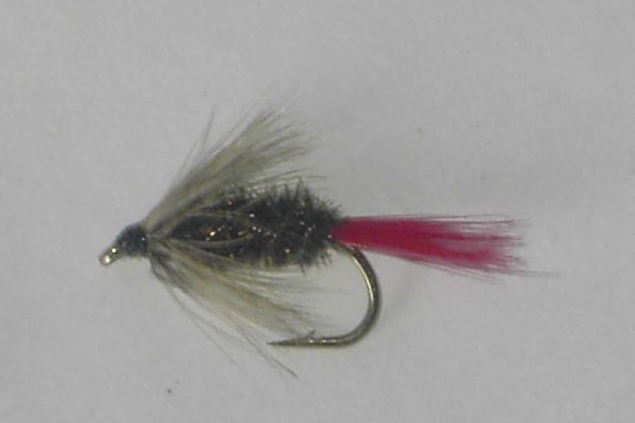 Red hackle peacock wet fly