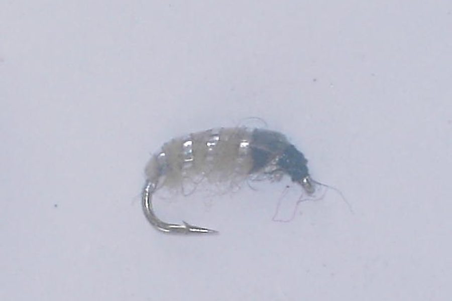 Czech nymph 4