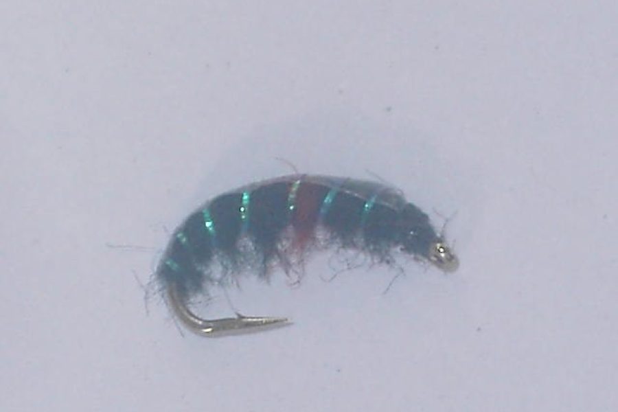 Czech nymph 6