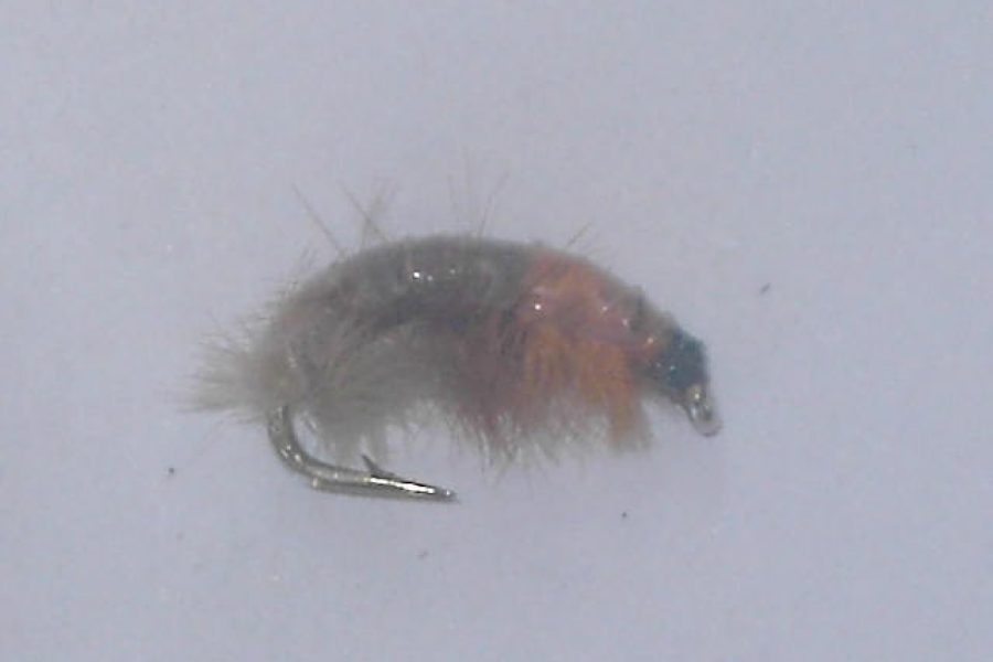 Czech nymph 8