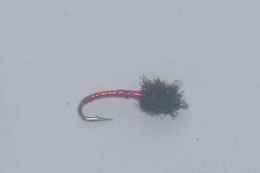 Disco midge red