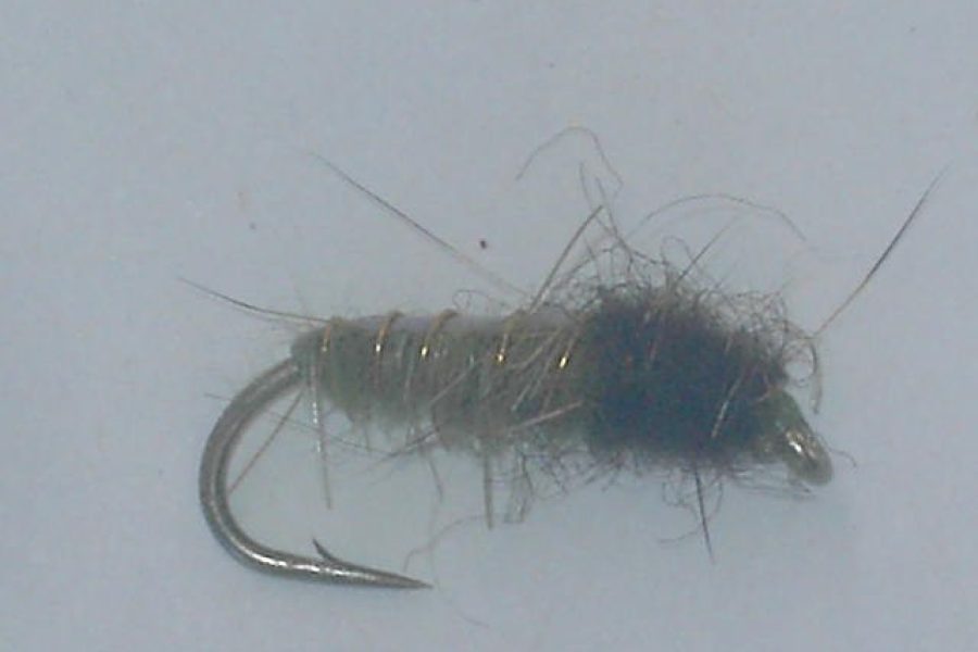 Electric caddis olive