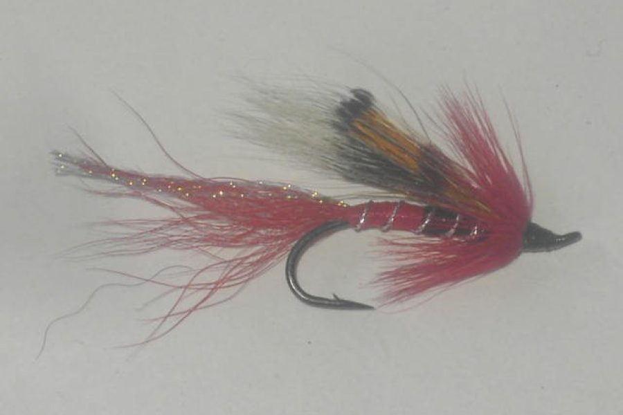 Red Ally Shrimp fly