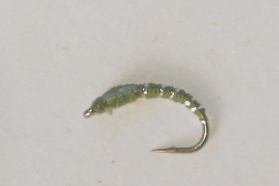 Buzzer olive glitters wet fly