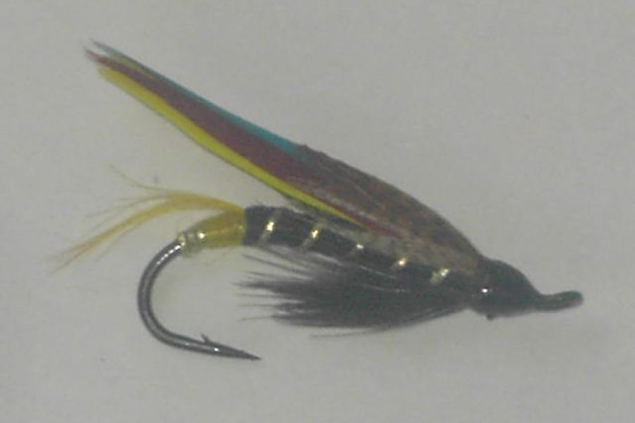 Black Dose fishing Fly