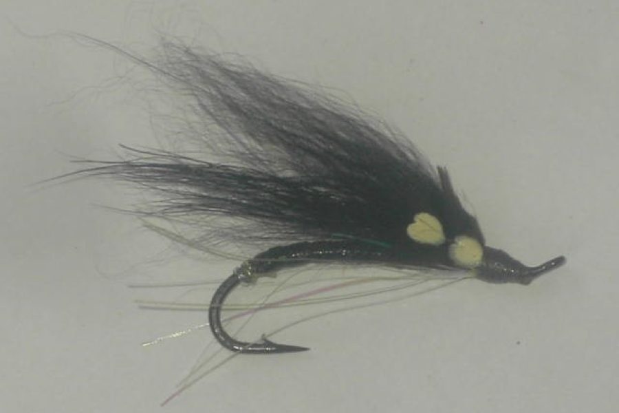 Black Night Fly