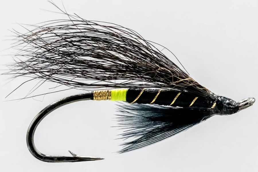 Black Bear Green Butt Salmon Fly