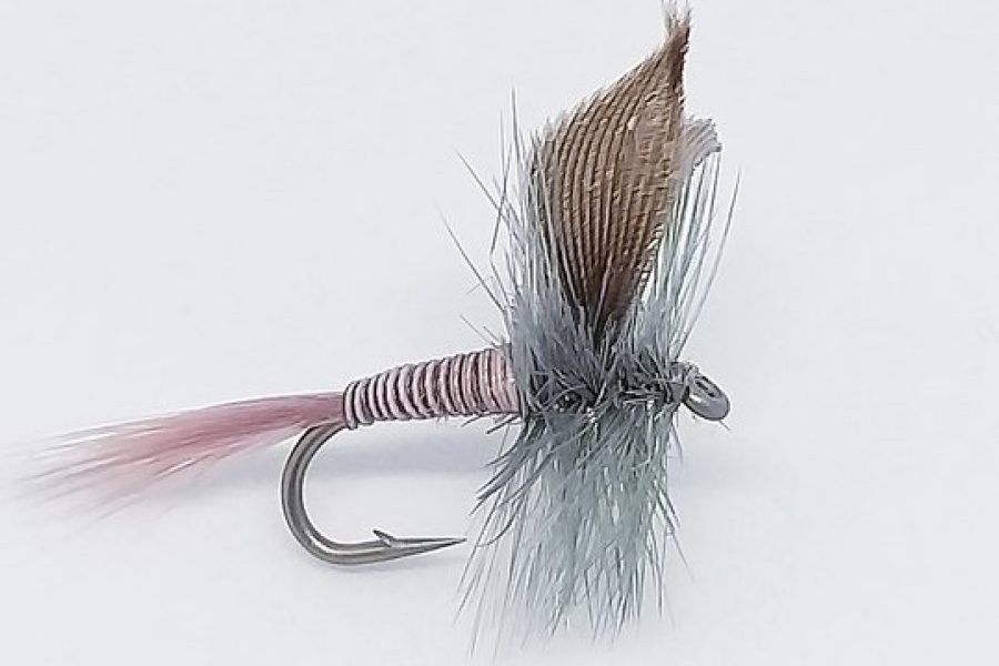 Blue quill dry fly