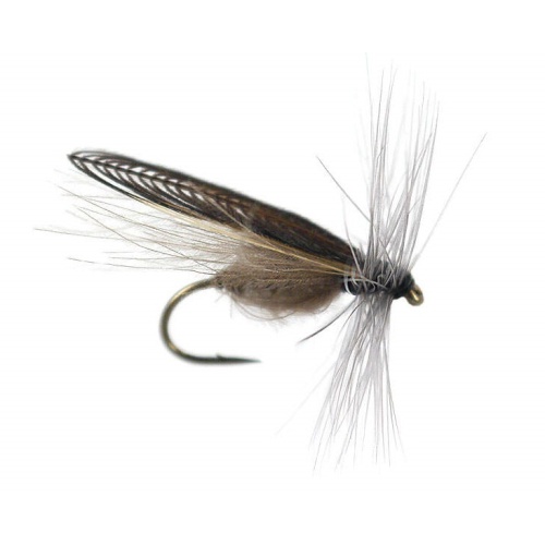 CDC Stonefly