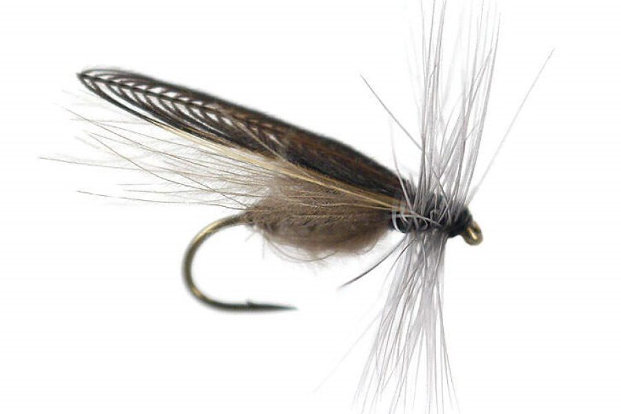 CDC Stonefly