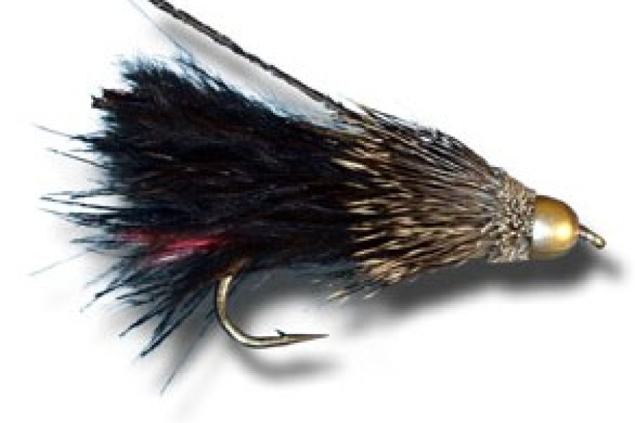 Conehead streamer black fly