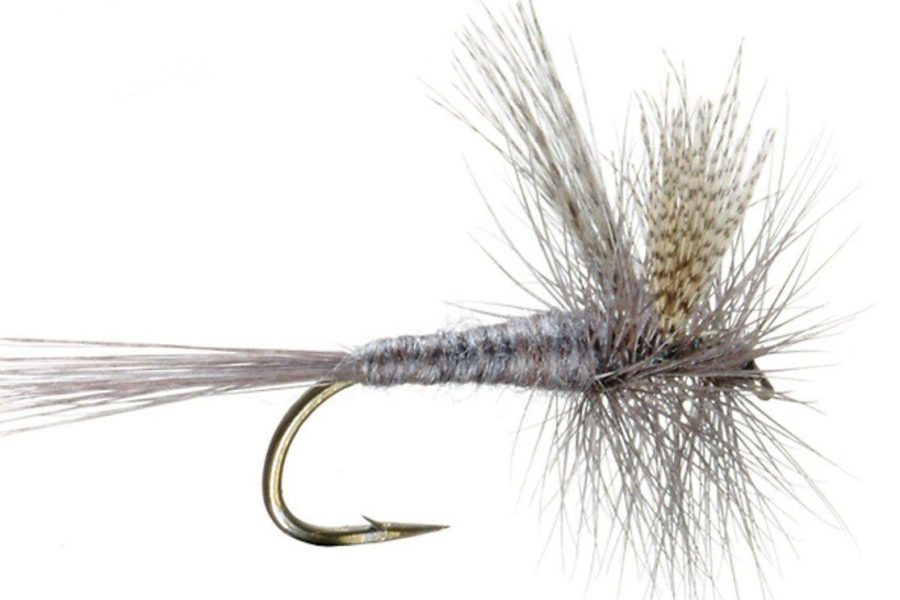 Dark Hendrickson dry fly