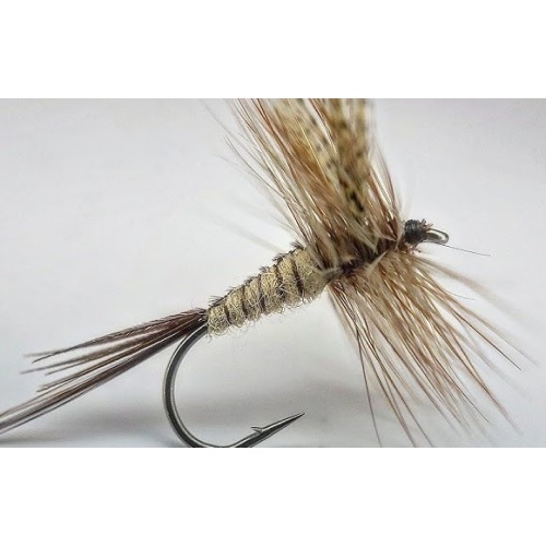 Quill Gordon Dry fishing fly pattern