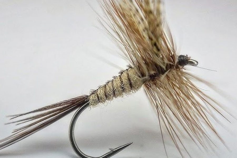 Quill Gordon dry fly