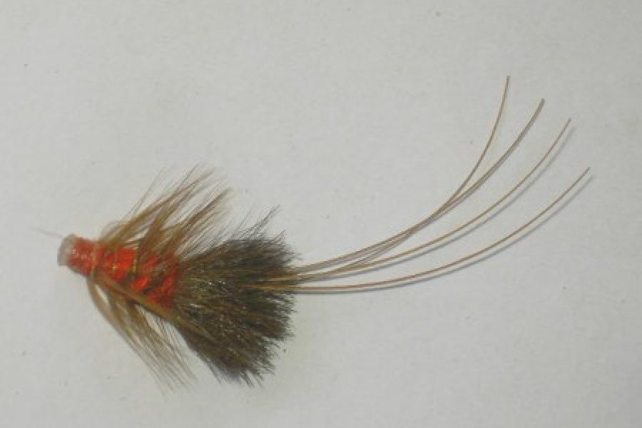 Kola 1 tube fly