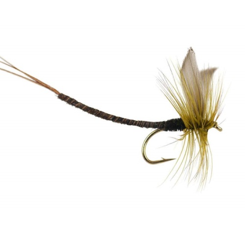 Adams Extended Body Dry MayFly