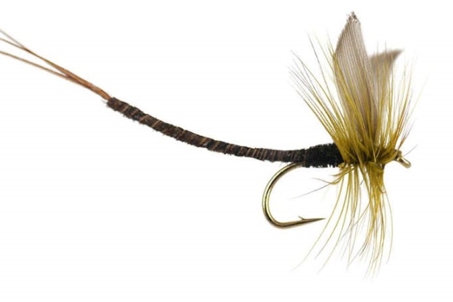 Adams Extended Body Dry MayFly