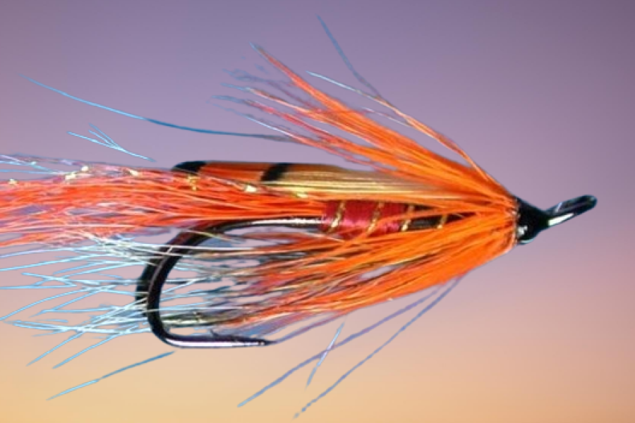 Ally’s Shrimp Copper Bodied Templedog Salmon Fly