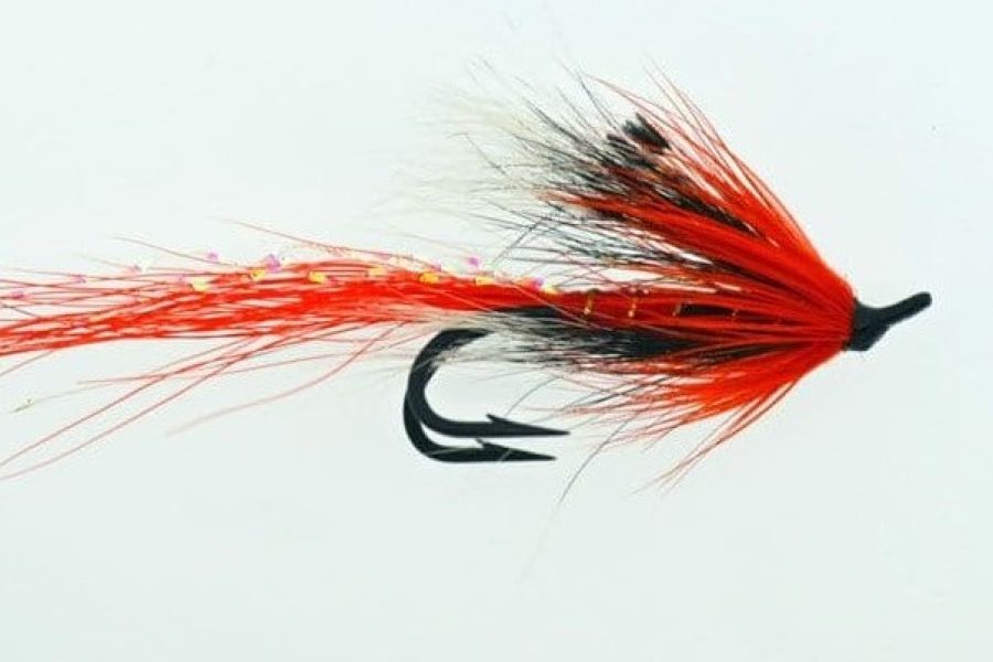 Ally’s Shrimp Red fly