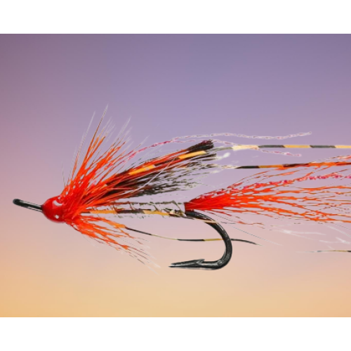 Ally's Shrimp Silver Double Salmon Fly