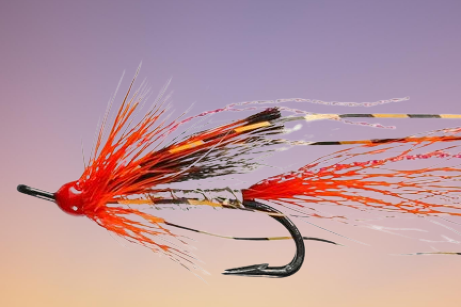 Ally’s Shrimp Silver Double Salmon Fly