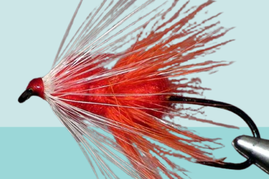 Babine Special salmon fly pattern