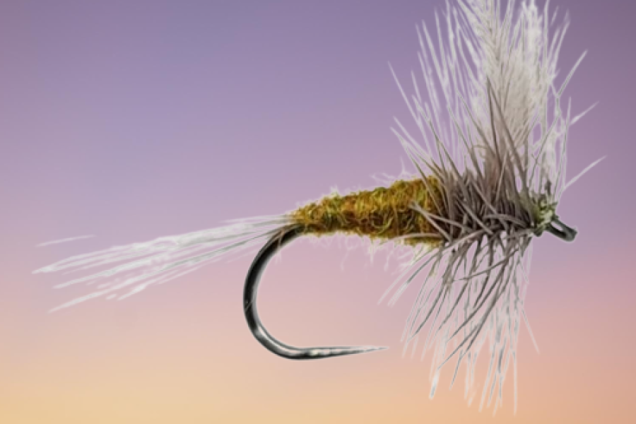 Barbless Blue Wing Olive fly