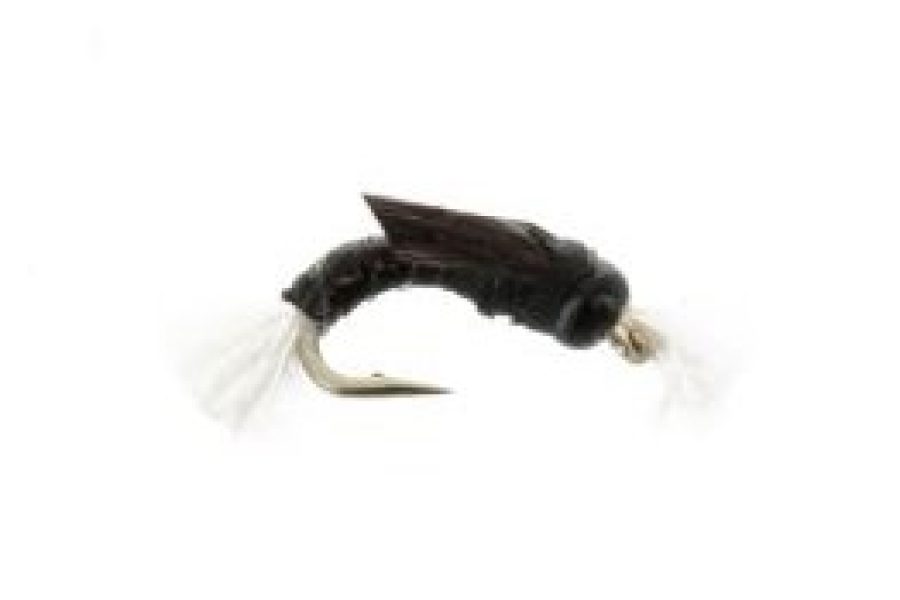 Beadhead Midge Pupa