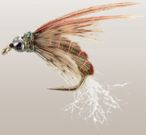 Bjorn's Baddest Caddis Brown fly