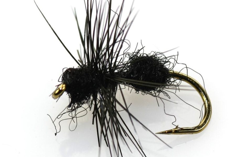 Black Ant Dry Fly Pattern