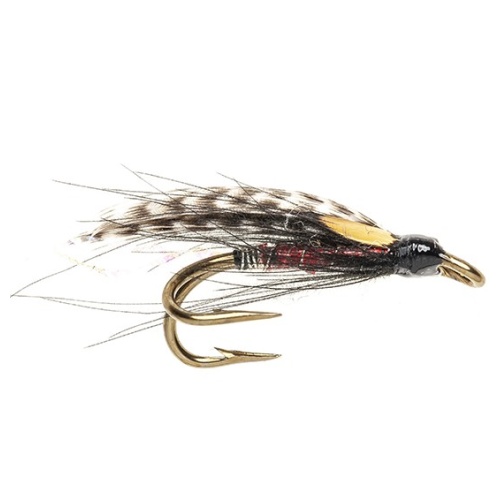 Black Brahan CDC Fly