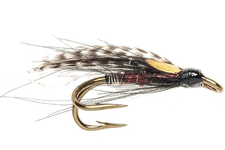 Black Brahan CDC Fly